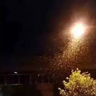 白蟻危害大，4-6月份進入其活躍期 防治白蟻不容忽視！